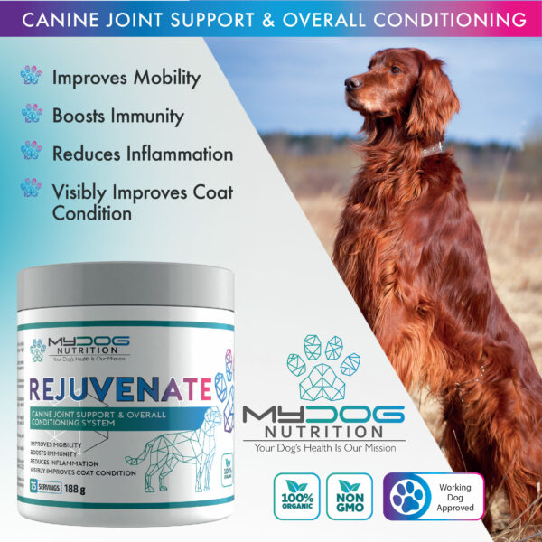 REJUVENATE