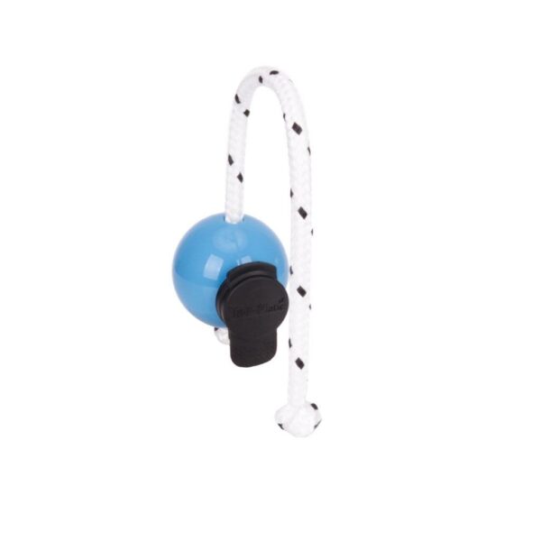 Magnetic training ball