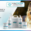 banner_my_dog