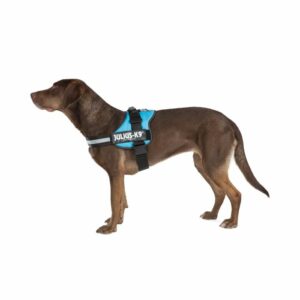 Julius K9 Harness