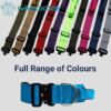 5cm MyDog Premium Collar With Handle & Clip