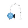 Magnetic training ball