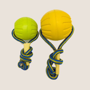 Foam bite resistant training ball