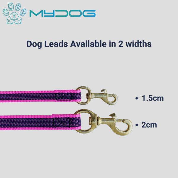 MyDog Training Lead - Image 4