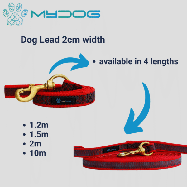 MyDog Training Lead - Image 7