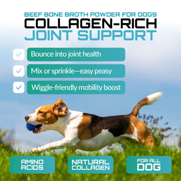 Beef Bone Broth For Dogs - Image 2