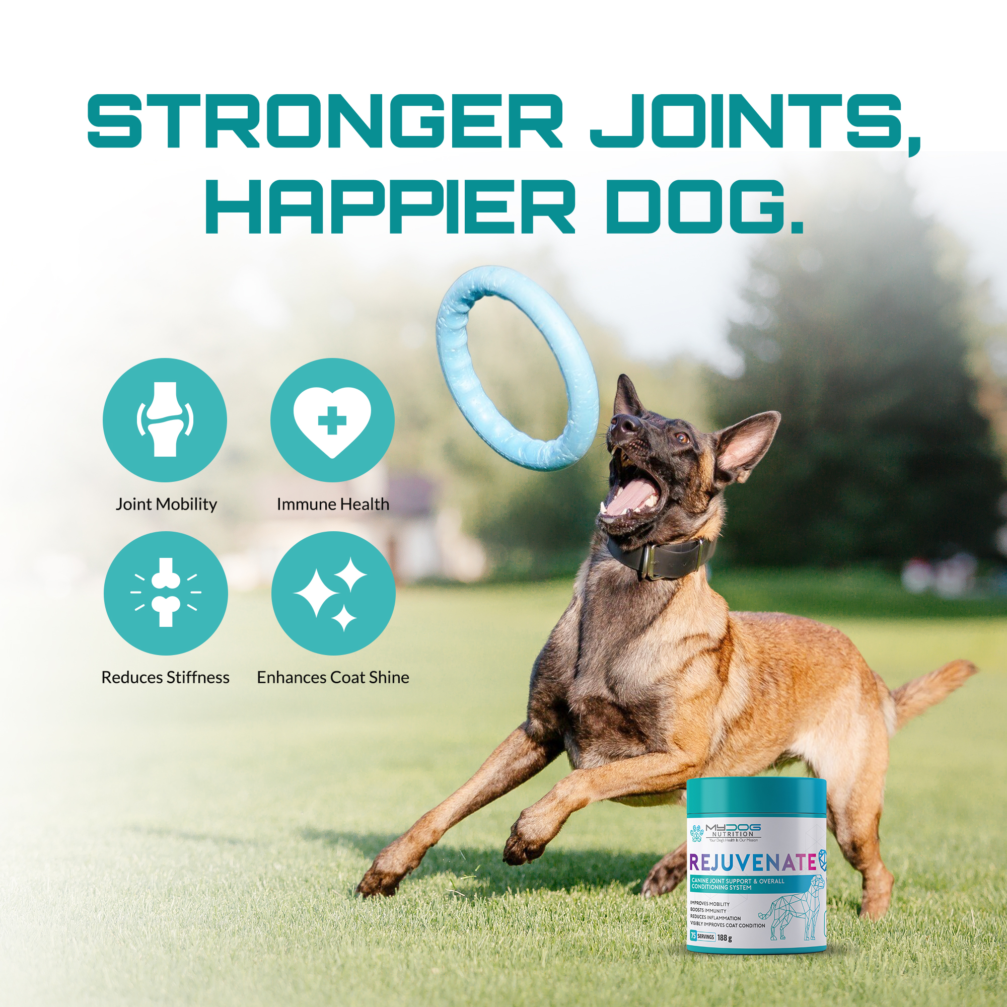 Rejuvenate – Joint, Coat & Digestive Health - Image 6