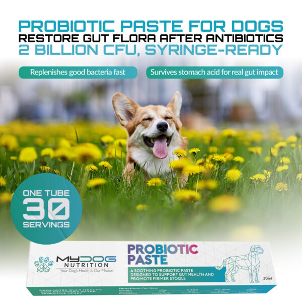Probiotic Paste for Dogs - Image 2