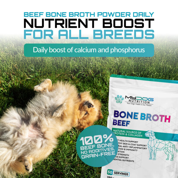 Beef Bone Broth For Dogs - Image 3