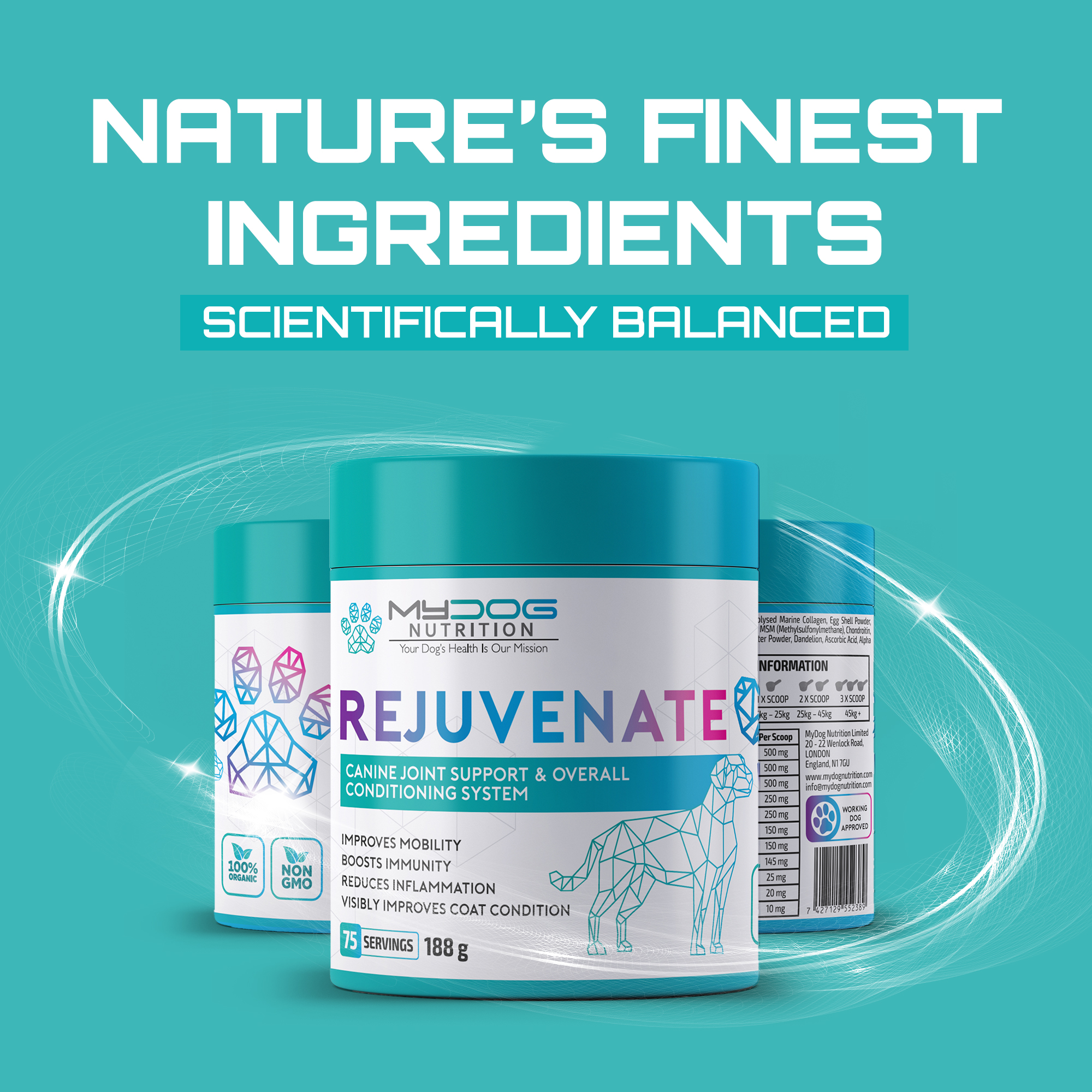 Rejuvenate – Joint, Coat & Digestive Health - Image 2