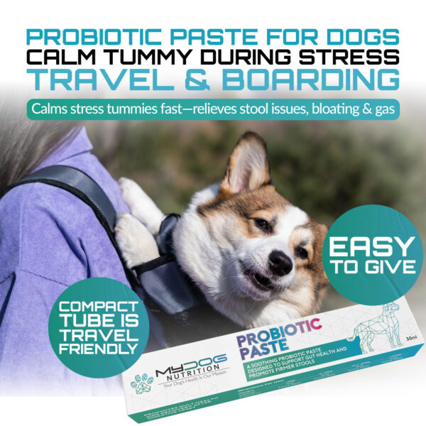 Probiotic Paste for Dogs - Image 3