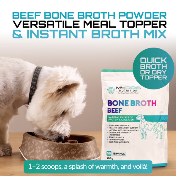 Beef Bone Broth For Dogs - Image 4