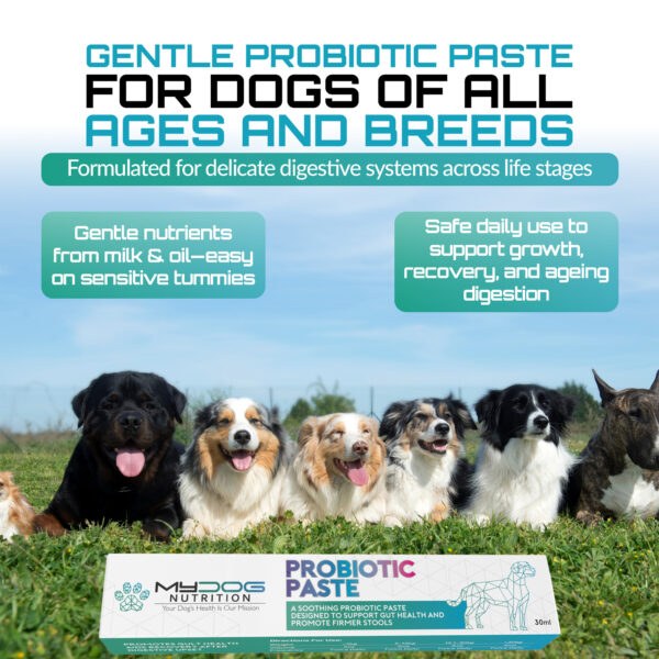 Probiotic Paste for Dogs - Image 4