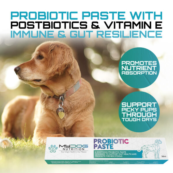 Probiotic Paste for Dogs - Image 5