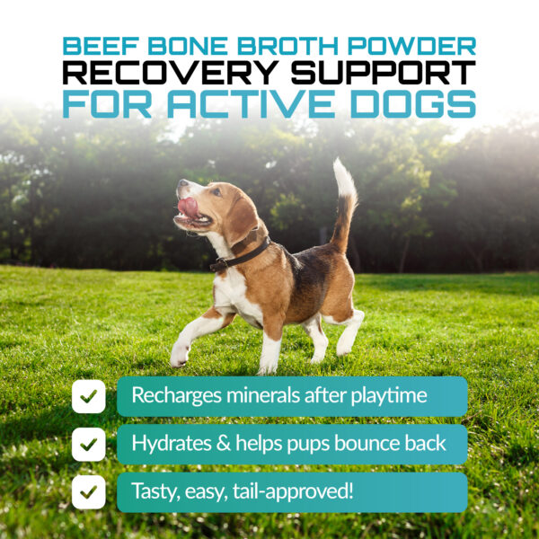 Beef Bone Broth For Dogs - Image 6
