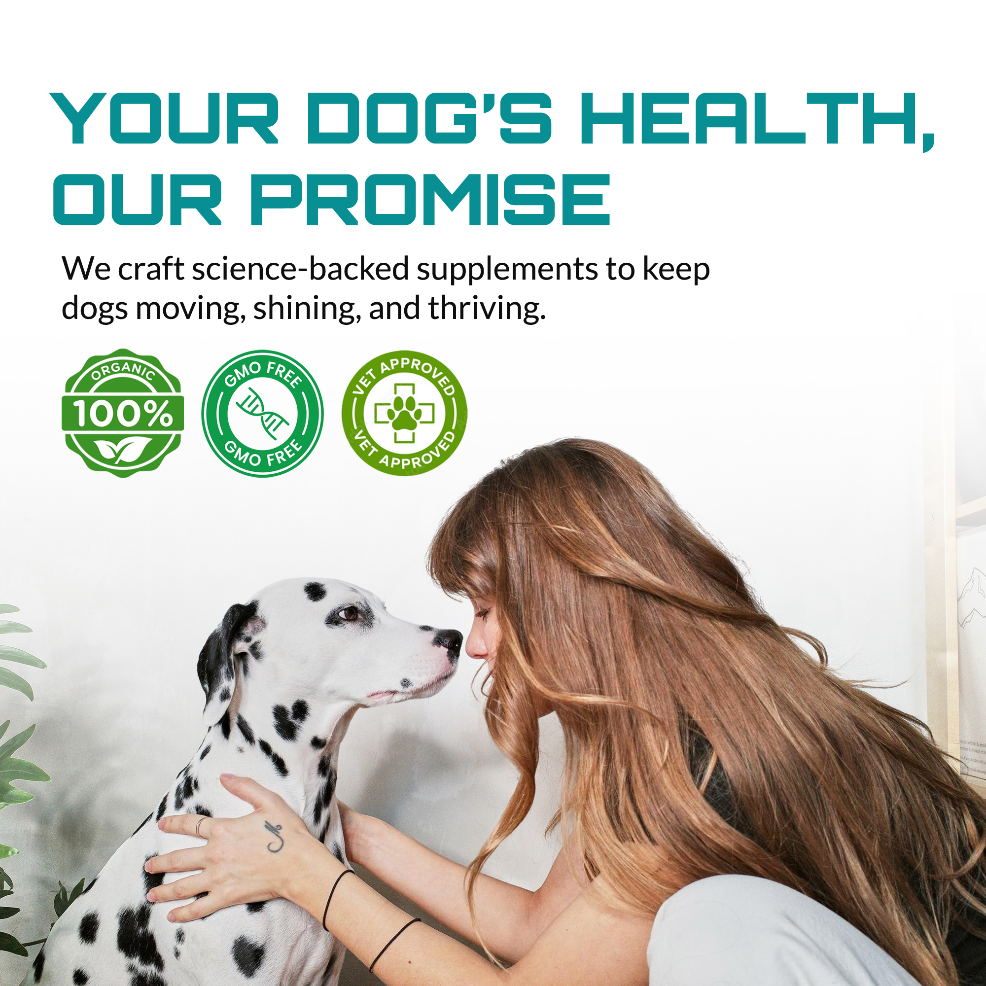 Rejuvenate – Joint, Coat & Digestive Health - Image 4