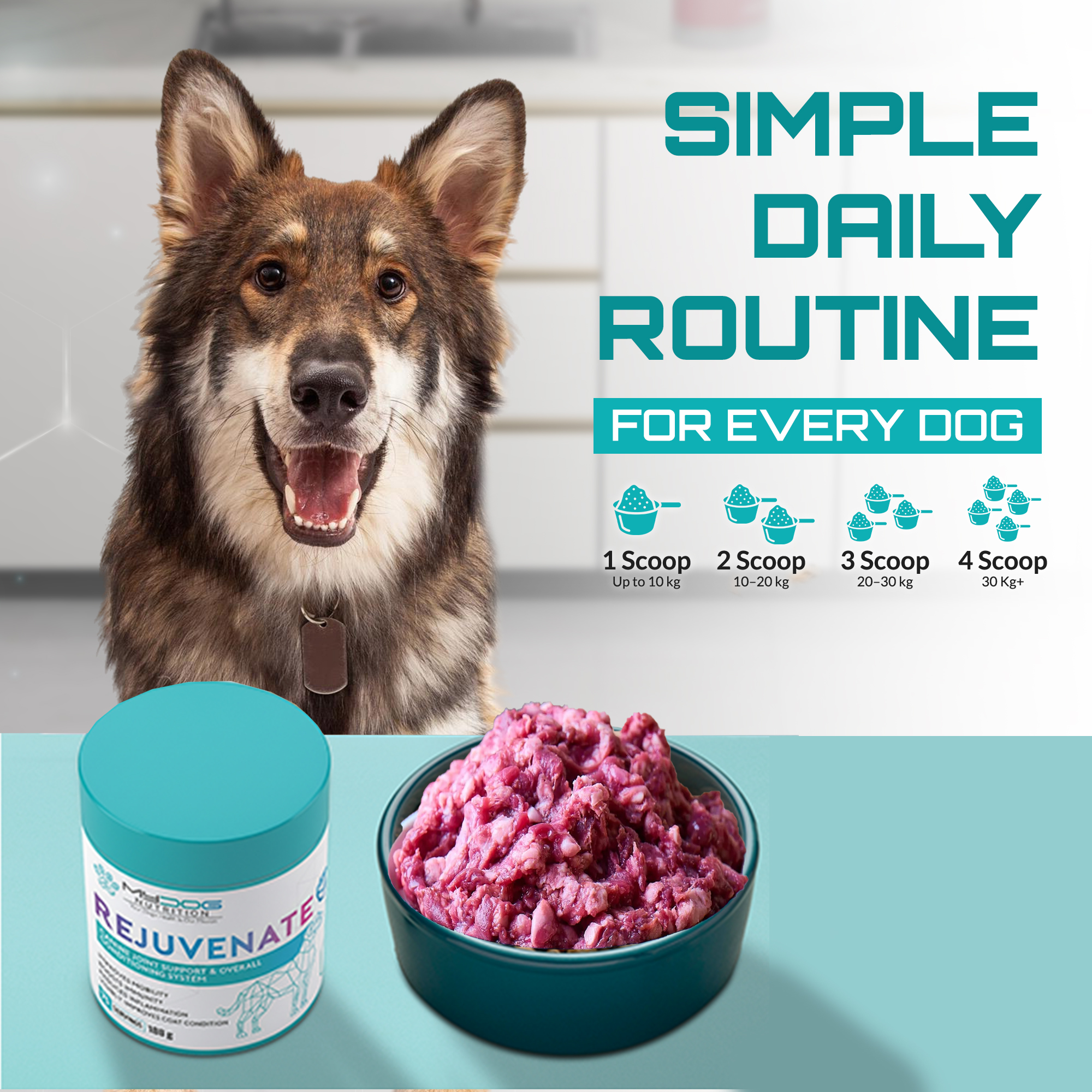 Rejuvenate – Joint, Coat & Digestive Health - Image 3