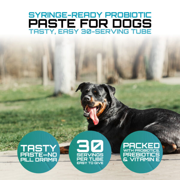 Probiotic Paste for Dogs - Image 7