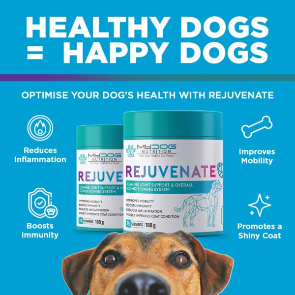 Rejuvenate – Joint, Coat & Digestive Health - Image 5