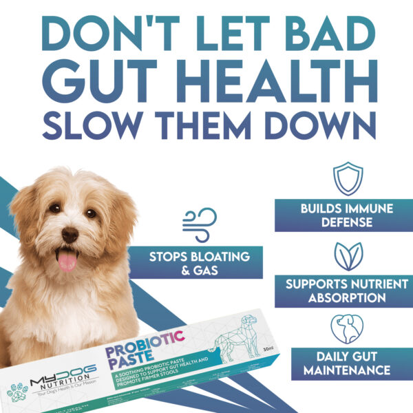 Probiotic Paste for Dogs - Image 2