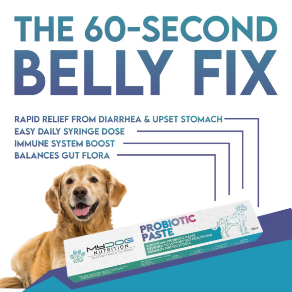 Probiotic Paste for Dogs - Image 3
