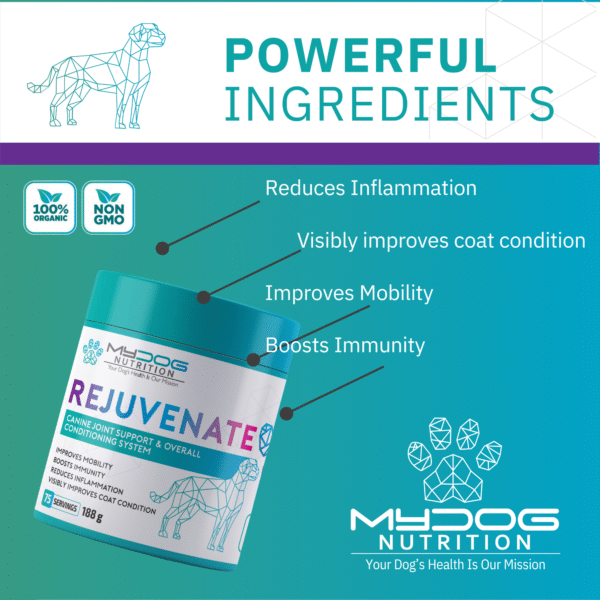 Rejuvenate – Joint, Coat & Digestive Health - Image 4