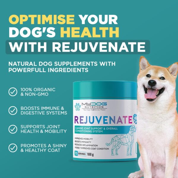 Rejuvenate – Joint, Coat & Digestive Health - Image 6