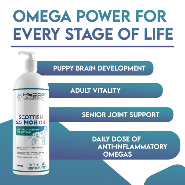 Salmon Oil –  Healthy Skin, Coat & Joints - Image 2