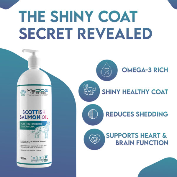 Salmon Oil –  Healthy Skin, Coat & Joints - Image 3