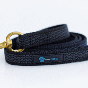 Dog Training Accessories