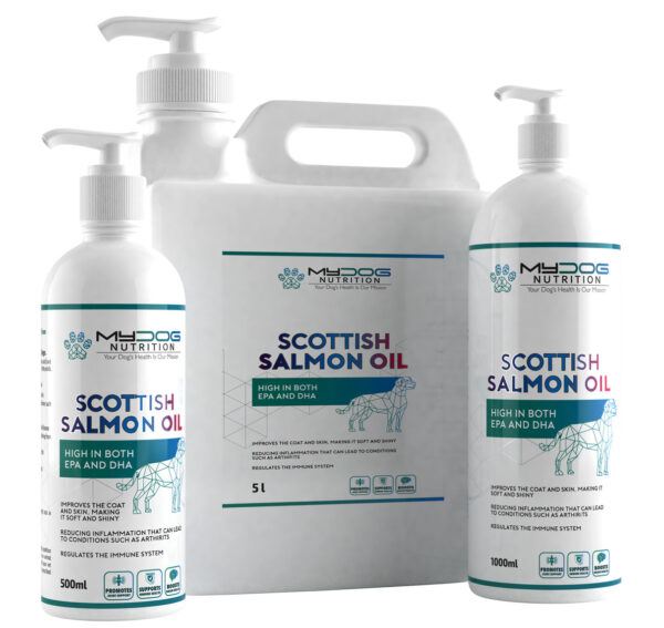 Salmon oil for dogs – healthy skin, coat and joints