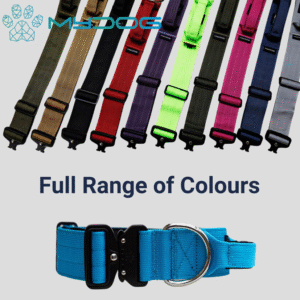 Dog collar with handle and clip in multiple colours