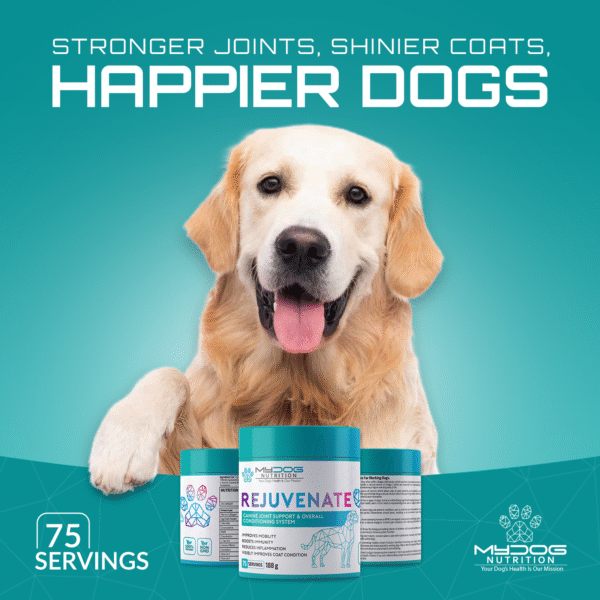Rejuvenate – Joint, Coat & Digestive Health - Image 2