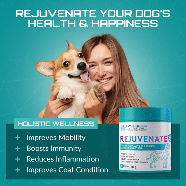 Rejuvenate – Joint, Coat & Digestive Health - Image 4