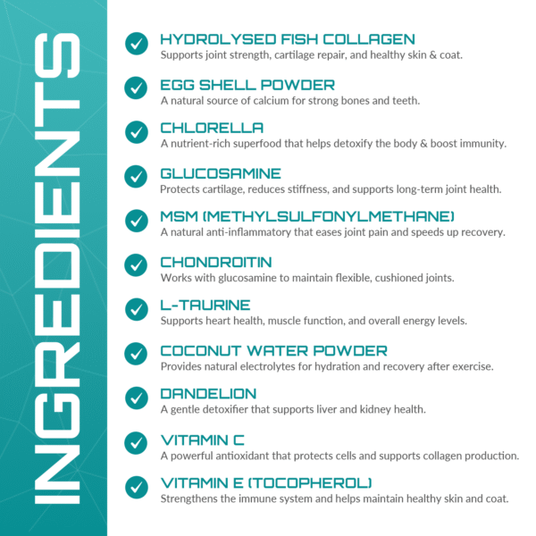 Rejuvenate – Joint, Coat & Digestive Health - Image 6