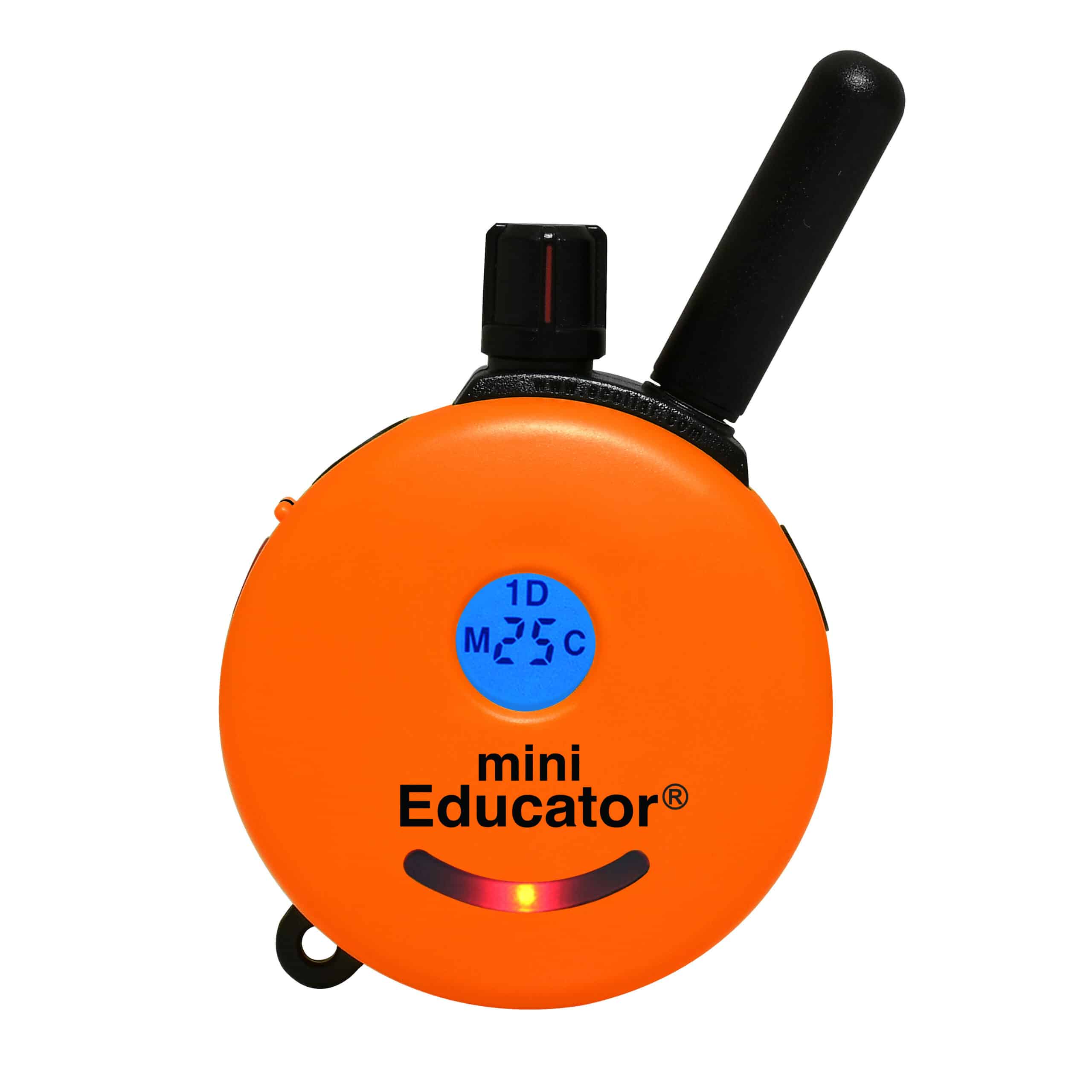 male masturbating positions How to Change Mini Educator to 2 Dogs? – K9 Training Co main image 0