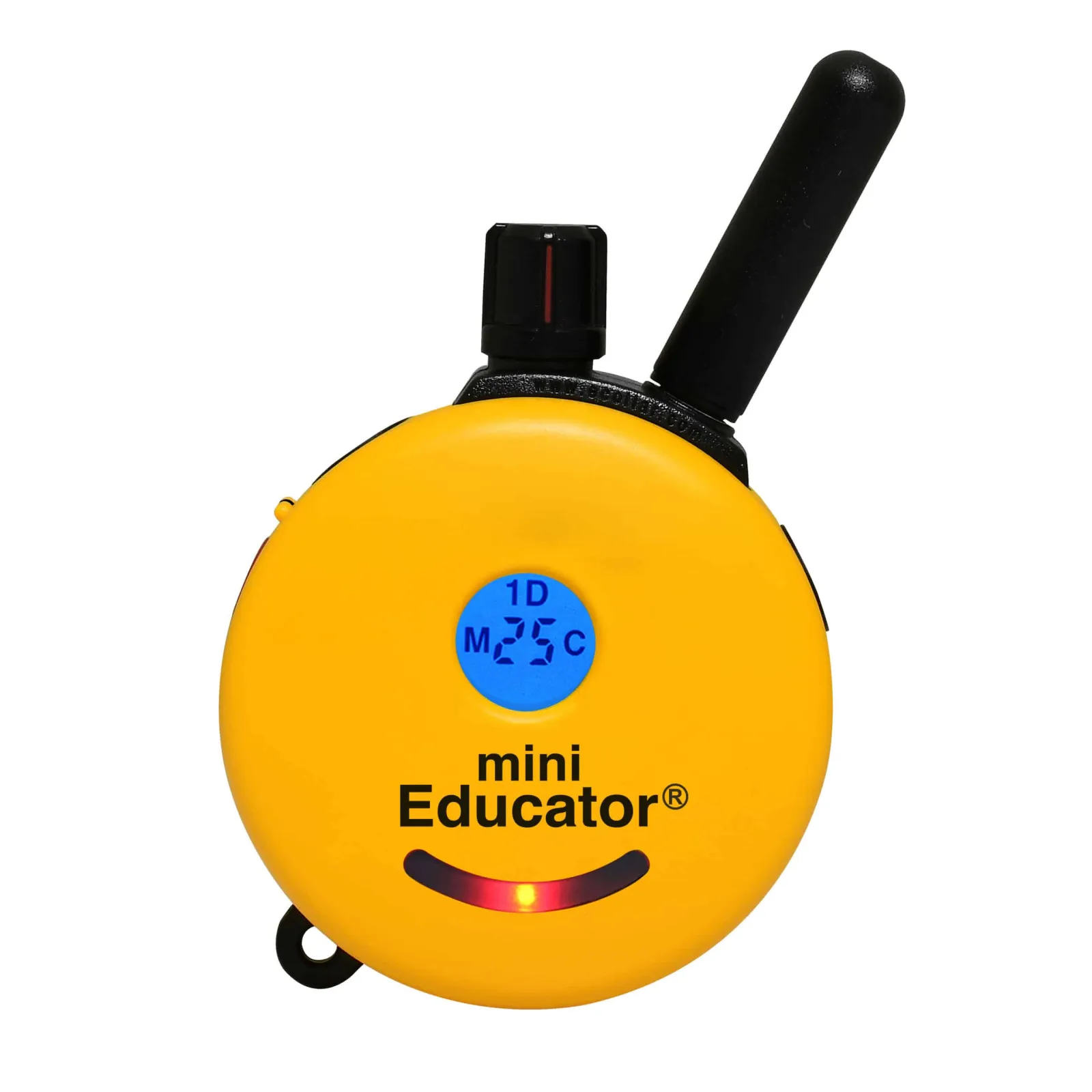 Replacement Remote for ET300/302 Educator